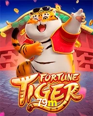 79M.COM